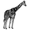 GIRAFF02