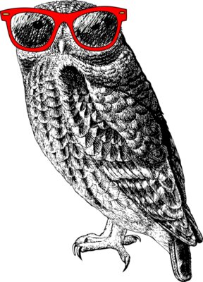 TH HipsterOwl