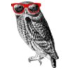 TH HipsterOwl