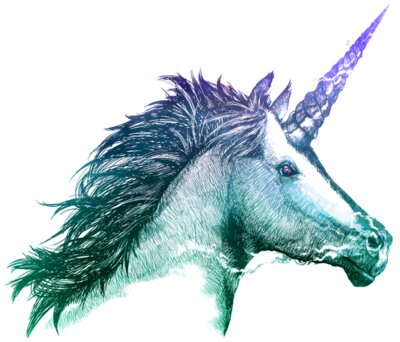 Unicorn Sketch