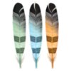 Feathers