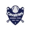 Baseball Logo Team 04