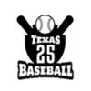 Baseball Logo Team 07