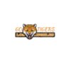 Go Tigers 01
